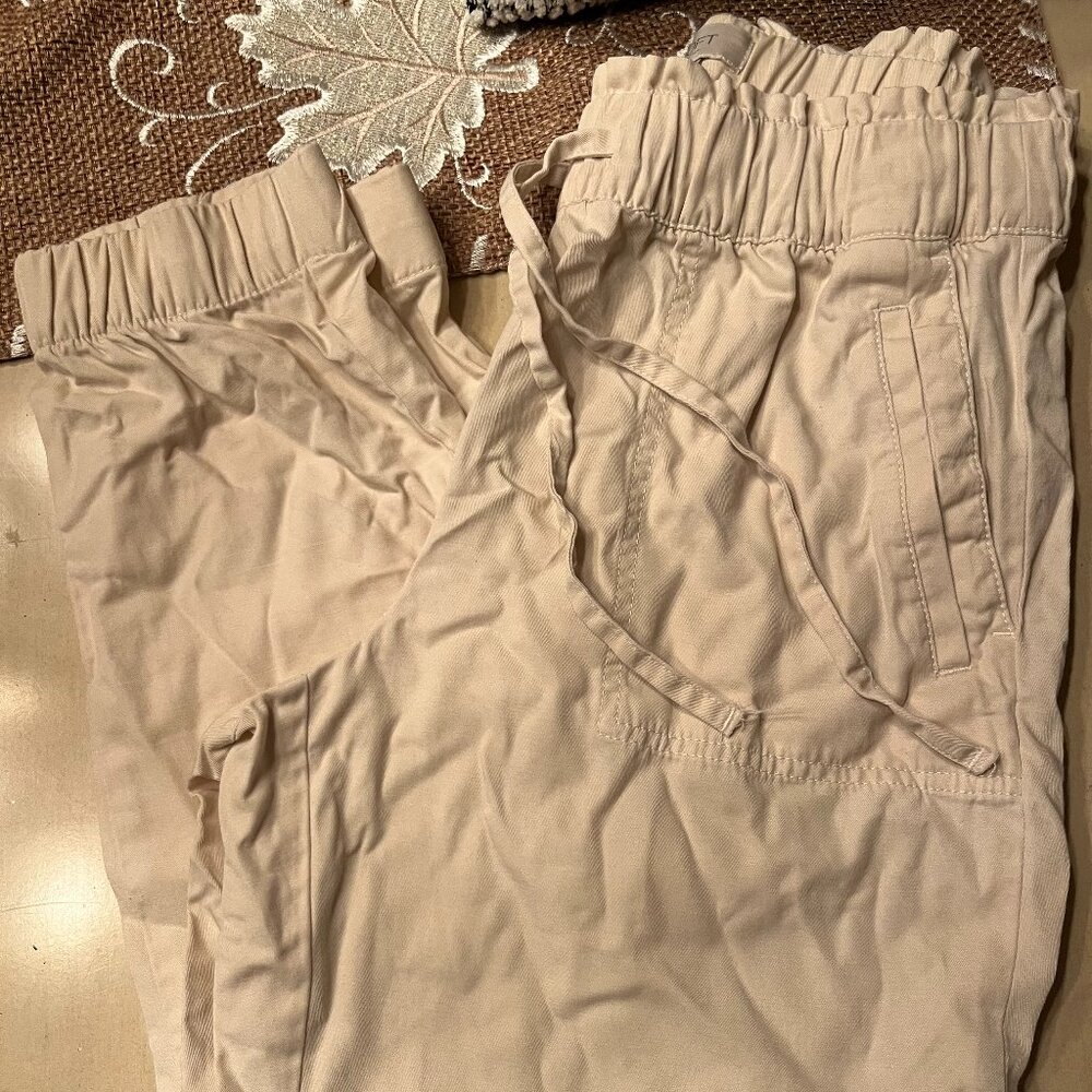 Loft pants